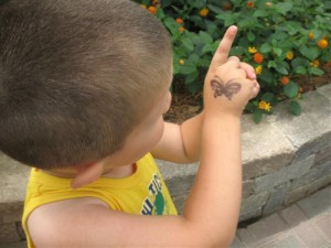 Butterfly House