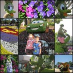 Epcot International Flower and Garden Festival