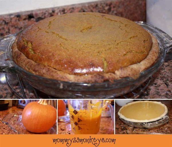 Pumpkin Recipes Pumpkin Pie