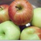 Apples