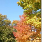 Fall Foliage Road Trip